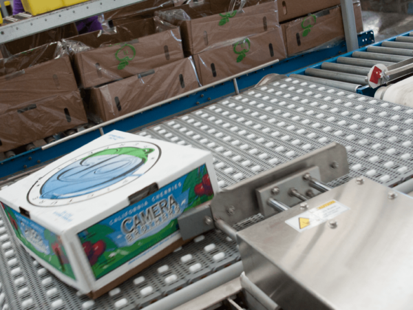 MotoWeigh Checkweigher Conveyor Scale